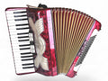 Hohner Verdi II Akkordeon 96 Bass Geprüft und Gestimmt